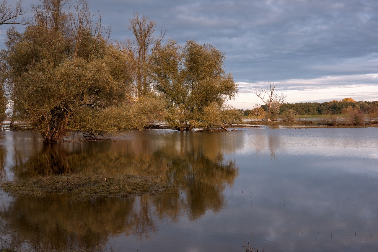 The Relationship between Climate Change and Waterborne Diseases